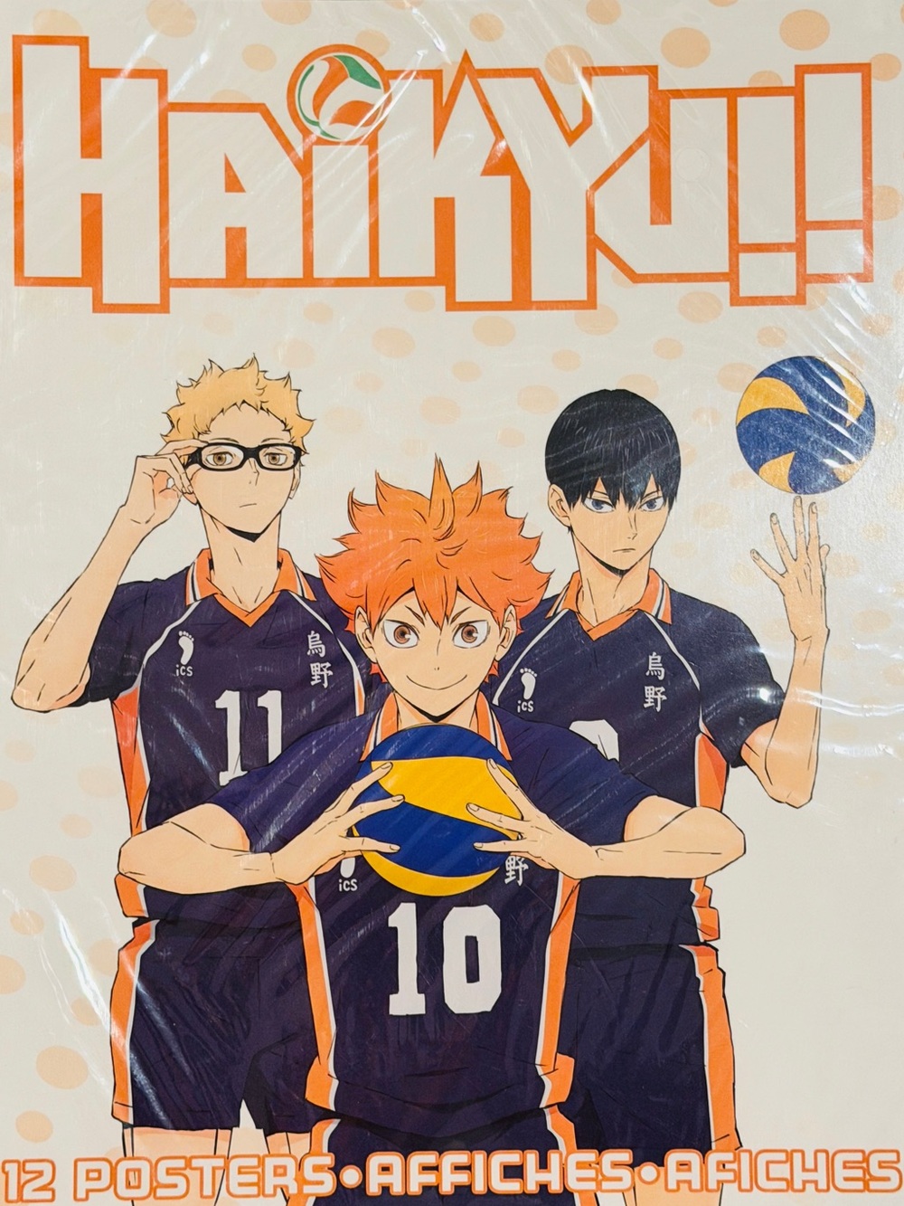 Trends International Haikyu!! Japanese Manga Series - 12-Poster Collectibles Set